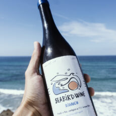 Sea Bird Wine story